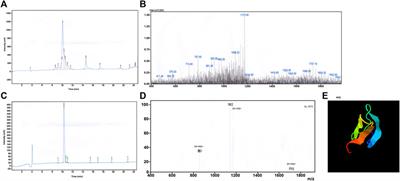 Spider venom-derived peptide JZTX-14 prevents migration and invasion of breast cancer cells via inhibition of sodium channels